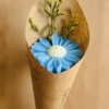Daisy Flower Bouquet